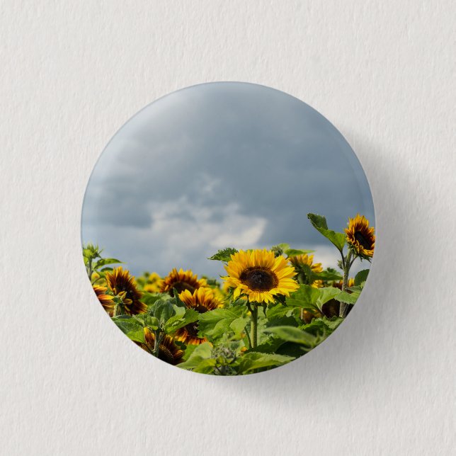 Sunflower Field Magnet 3 Cm Round Badge (Front)
