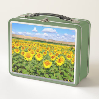 Sunflower field metal lunch box