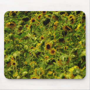 Sunflower field mouse mat