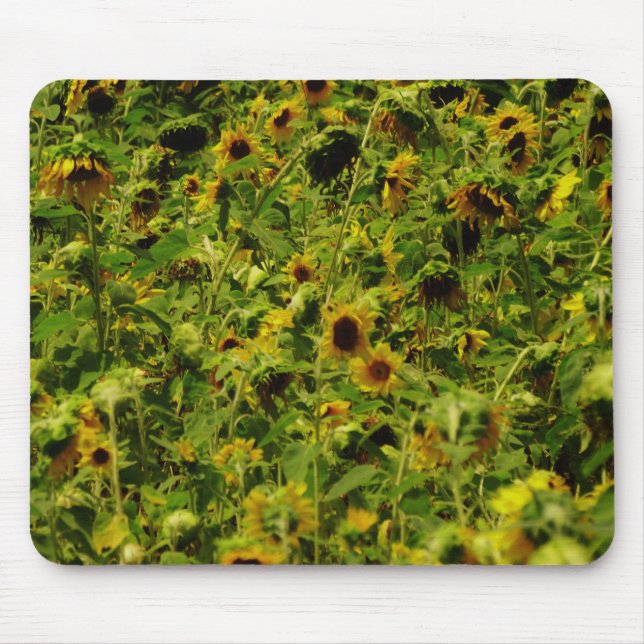 Sunflower field mouse mat (Front)