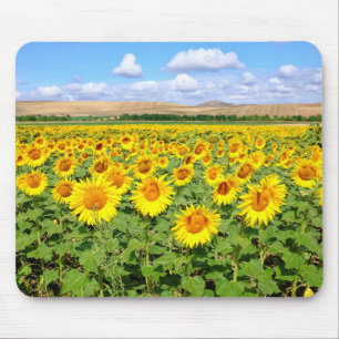 Sunflower field mouse mat