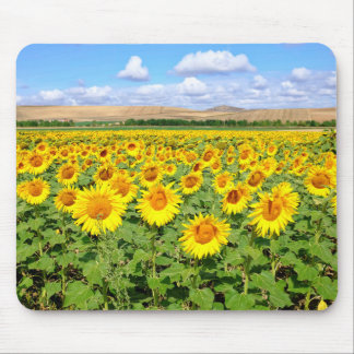 Sunflower field mouse mat