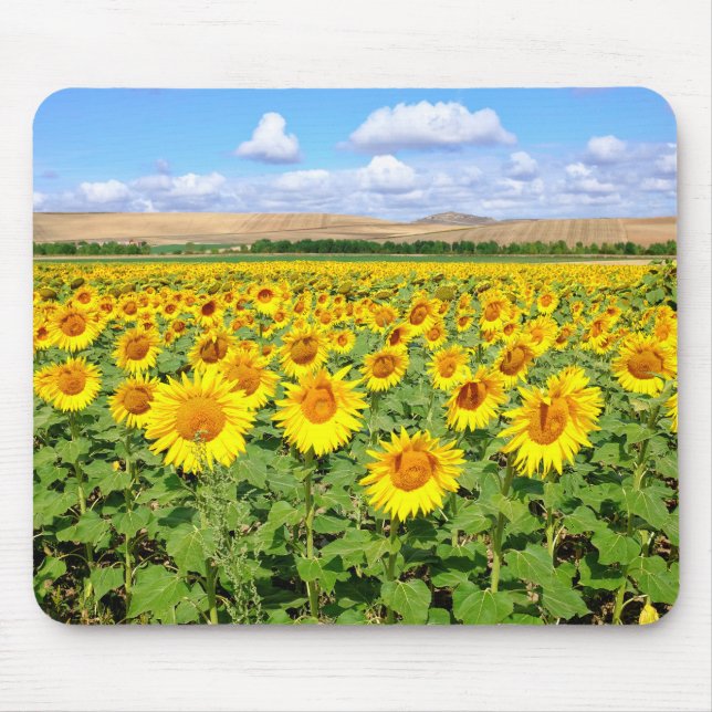 Sunflower field mouse mat (Front)