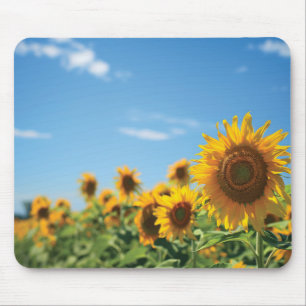 Sunflower field  mouse mat