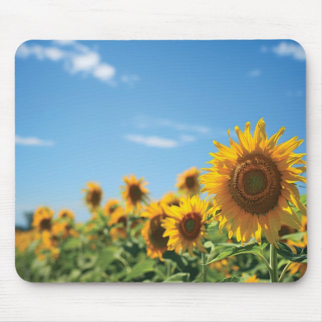 Sunflower field  mouse mat (Front)
