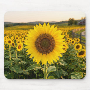 Sunflower Field Mouse Mat
