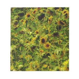 Sunflower field notepad