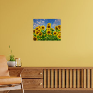 Sunflower Field of Flowers Poster