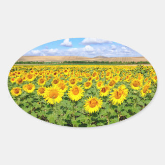 Sunflower field oval sticker
