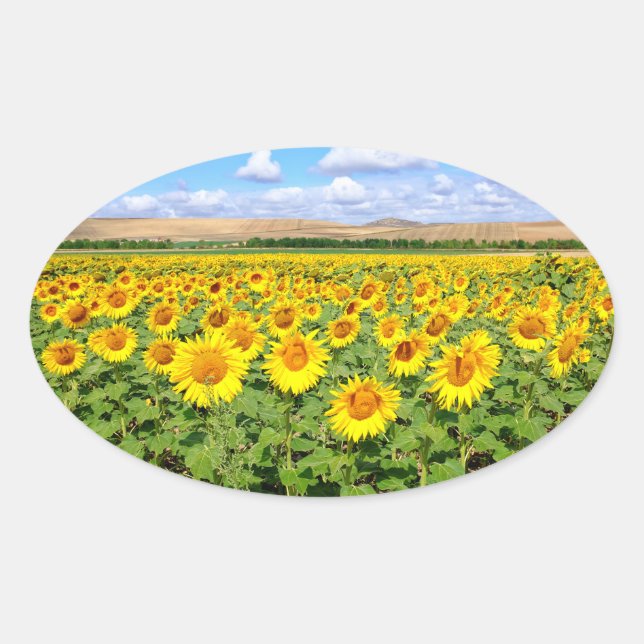 Sunflower field oval sticker (Front)