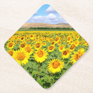 Sunflower field paper coaster