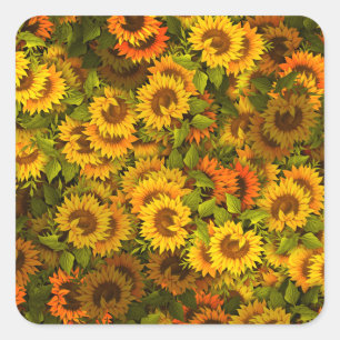 Sunflower Field Pattern Square Sticker