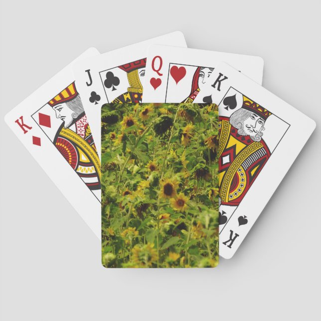 Sunflower field playing cards (Back)