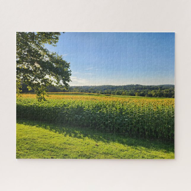 Sunflower Field Puzzle (Horizontal)
