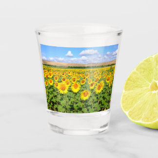 Sunflower field shot glass