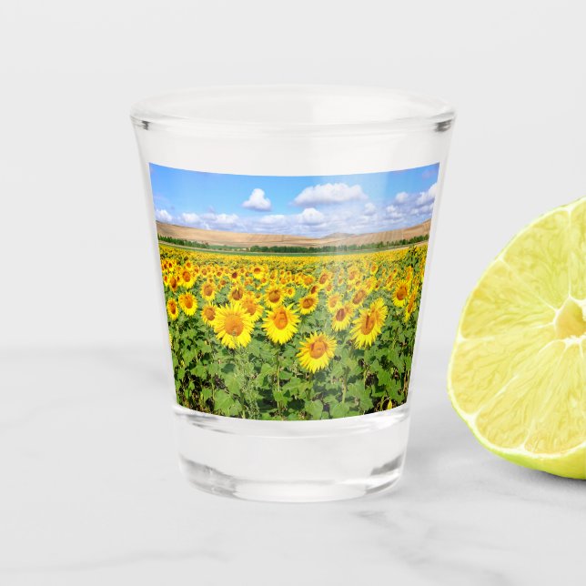Sunflower field shot glass (Front)