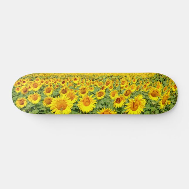 Sunflower field skateboard (Horz)