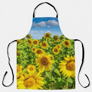 Sunflower field, summer sunny day. apron