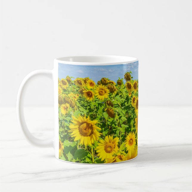 Sunflower field, summer sunny day. coffee mug (Left)