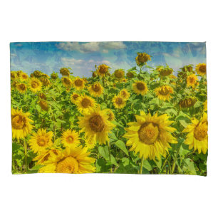 Sunflower field, summer sunny day. pillowcase