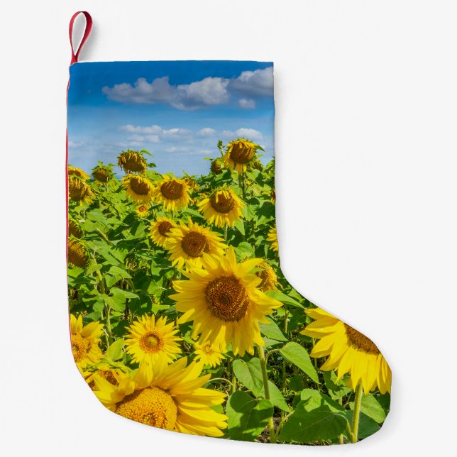 Sunflower field, summer sunny day. small christmas stocking (Front)