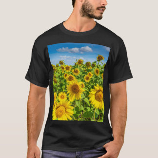 Sunflower field, summer sunny day. T-Shirt