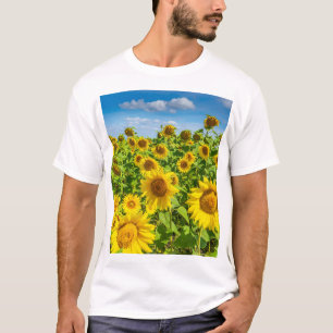 Sunflower field, summer sunny day. T-Shirt