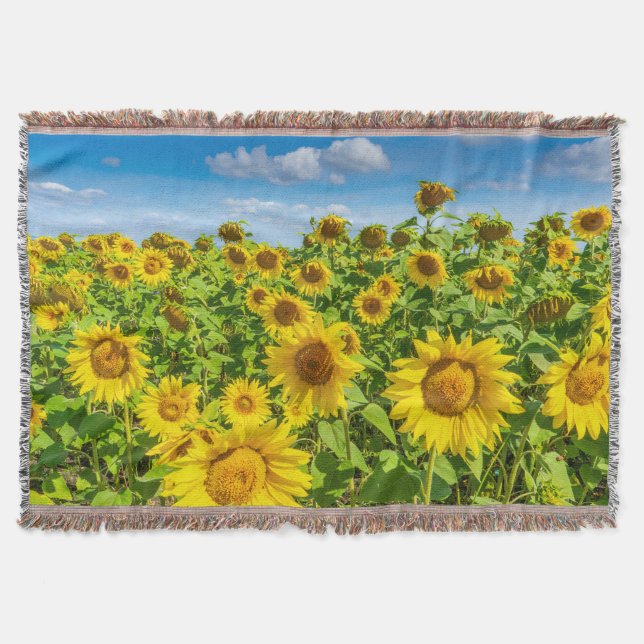 Sunflower field, summer sunny day. throw blanket (Front)
