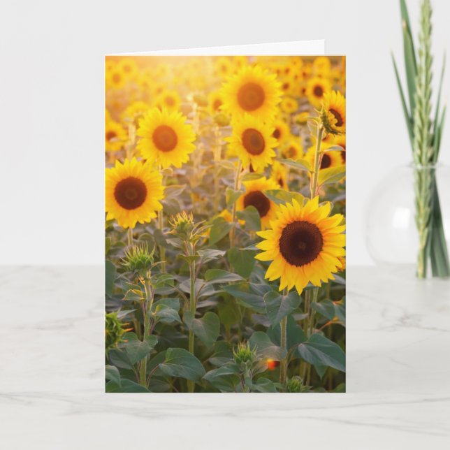 SUNFLOWER FIELD SYMPATHY CARD (Front)
