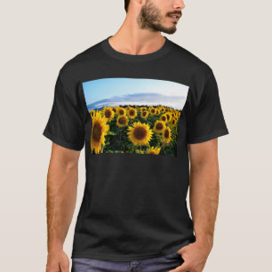 Sunflower Field T-Shirt