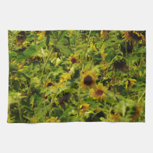 Sunflower field tea towel