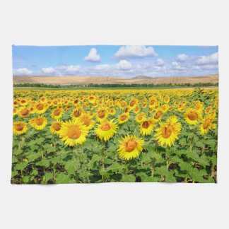 Sunflower field tea towel