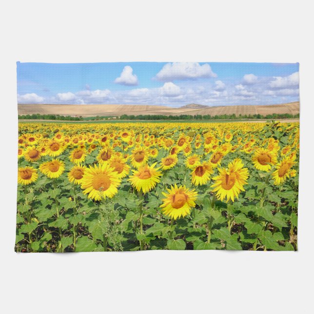 Sunflower field tea towel (Horizontal)