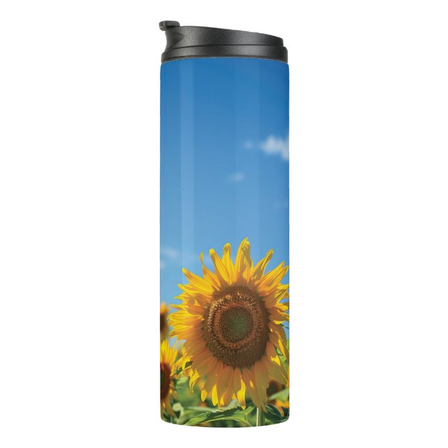 Sunflower field  thermal tumbler (Rotated Right)