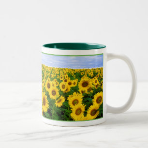 Sunflower Field Two-Tone Coffee Mug