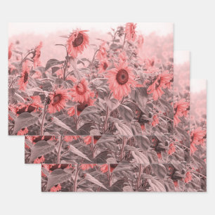 Sunflower Field Vintage Blush Pink Gray Decoupage Wrapping Paper Sheet