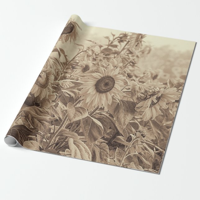 Sunflower Field Vintage Sepia Tone Decoupage Wrapping Paper (Unrolled)