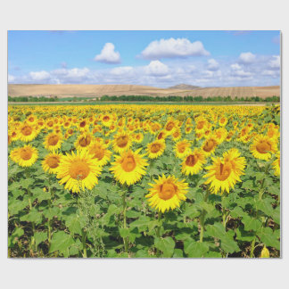 Sunflower field wrapping paper