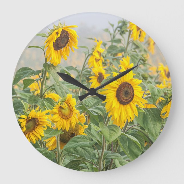 Sunflower Field Yellow Green Beautiful Floral Large Clock (Front)
