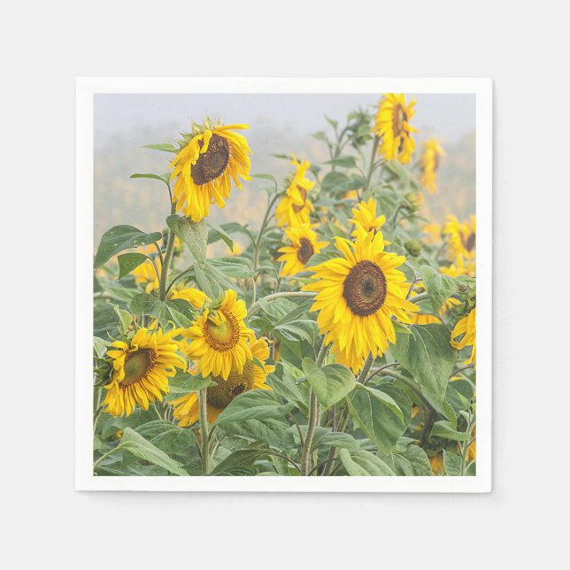 Sunflower Field Yellow Green Beautiful Floral Napkin (Front)