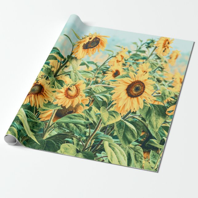 Sunflower Field Yellow Teal Decoupage Floral Art Wrapping Paper (Unrolled)