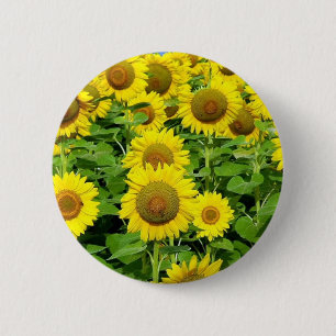 Sunflower Fields 6 Cm Round Badge