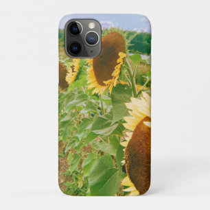 Sunflower Fields iPhone 11 Pro Case