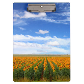 Sunflower Fields Clipboard