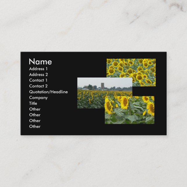 Sunflower Fields Forever! Business Card (Front)
