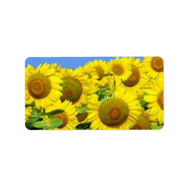Sunflower Fields Label (Front)