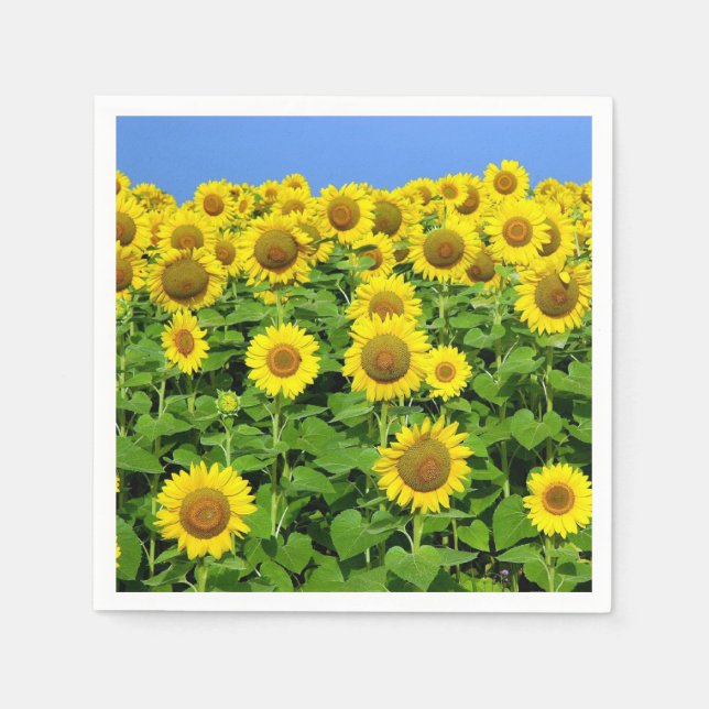 Sunflower Fields Napkin (Front)