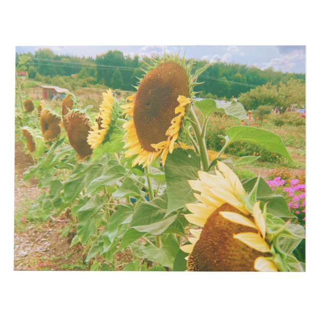 Sunflower Fields Notepad (Front)