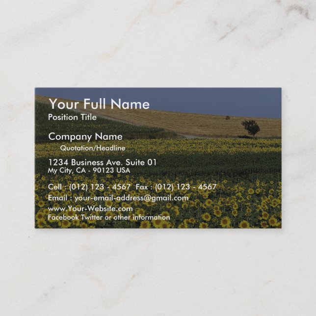Sunflower fields, Tuscany, Italy Business Card (Front)