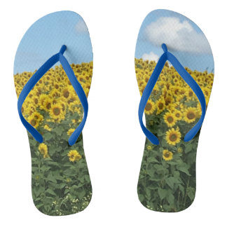 Sunflower Flip Flops